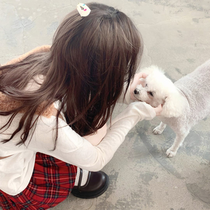 八木あずさ肉感在线观看
